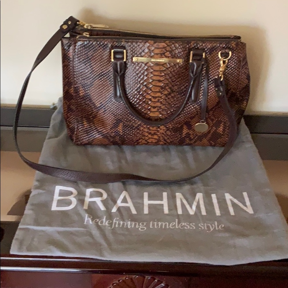 Brahmin python bag